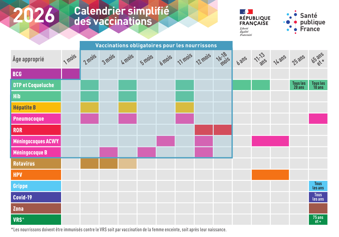 Calendrier des vaccinations simplifié 2026 — Santé publique France